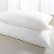 VE Non-Allergenic Microfibre Cover Hollowfibre Pillow (Pack of 2 Pillows)
