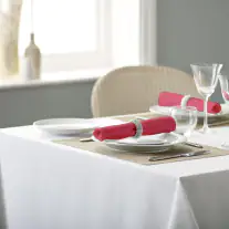 V Polyester Plain Coloured Napkin