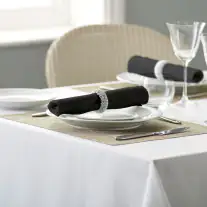 VE Polyester Plain Coloured Napkin