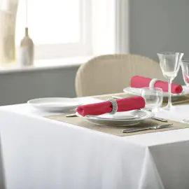 V Polyester Plain Coloured Napkin