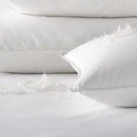 VV Duck Down Surround Chamber Pillow