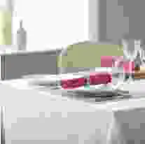 V Polyester Plain Coloured Napkin