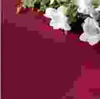 V Polyester Rose Design Coloured Tablecloth