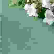 V Polyester Rose Design Coloured Napkin