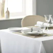 V Polyester Plain Napkin White