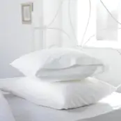 V130 100% Cotton White Pillowcase - Bag Style