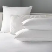 V 100% Cotton Microfibre Pillow 