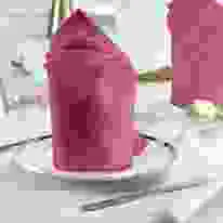 V Polyester Ivy Leaf Coloured Napkin