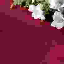 V Polyester Rose Design Coloured Tablecloth