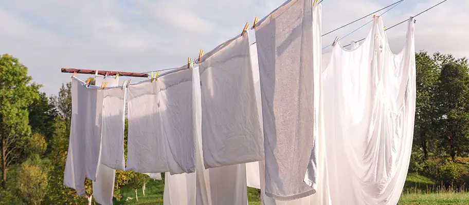 clothes drying on washing line